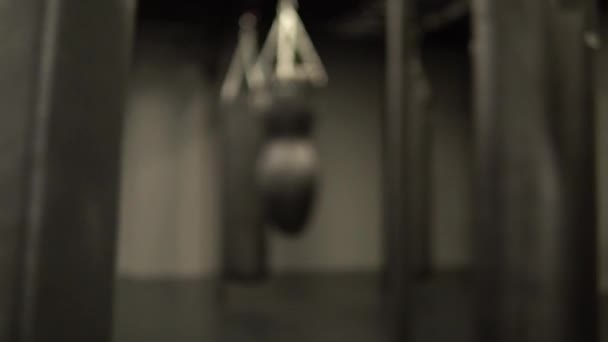 Πολλοί μποξέρ punching τσάντα κρούσης πυγμαχία, από γυμναστήριο άσκηση από χτύπημα και λάκτισμα κουτί, επιθετικότητα μυϊκή. Κλείσιμο μαχητικού επιτυχίας, προστατευτική ενέργεια — Αρχείο Βίντεο