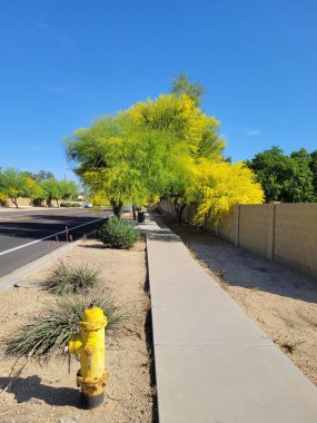 Arizona imzası bulutsuz mavi gökyüzü boş sabah yolunun üzerinde güzel bir bahar sabahı Phoenix şehrinde