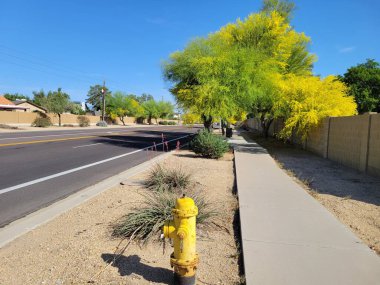 Arizona imzası bulutsuz mavi gökyüzü boş sabah yolunun üzerinde güzel bir bahar sabahı Phoenix şehrinde