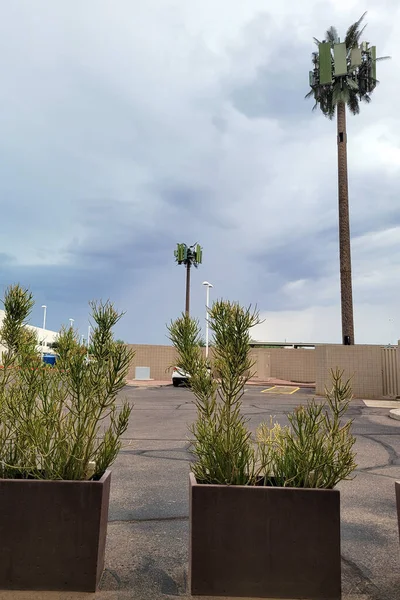 Cellular tower with fake palm tree fronds rising above an empty parking lot in Phoenix business park, Arizona