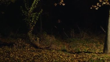 Parktaki çekiçli ürkünç kadın