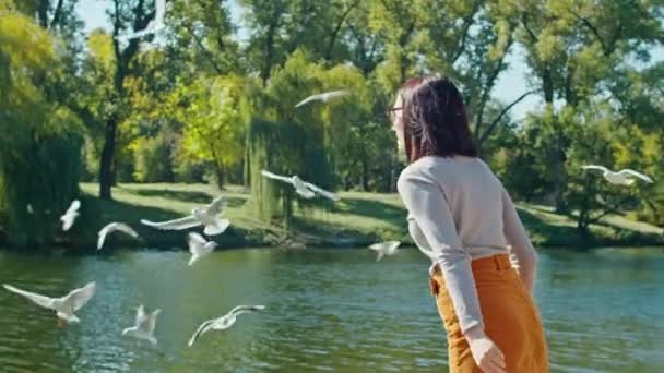 Câmera lenta, duas jovens mulheres felizes em um parque de verão alimentam gaivotas, jogam comida neles, as gaivotas são apanhadas no ar e mergulham na água para obter comida. Divirtam-se juntos. descanso amigável. — Vídeo de Stock