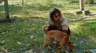 Parkta köpeği gezdiren mutlu genç bir kadın ve köpekler için özel bir alan. Köpek koşuyor, eğleniyor, emirlere uyuyor, tasmayla yürüyor. Parkta yürür.
