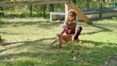 Parkta köpeği gezdiren mutlu genç bir kadın ve köpekler için özel bir alan. Köpek koşuyor, eğleniyor, emirlere uyuyor, tasmayla yürüyor. Parkta yürür.