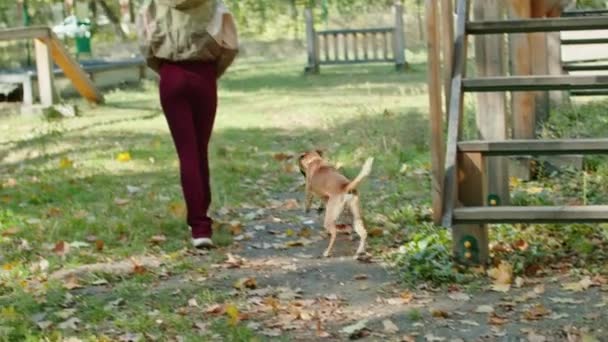 Jovem feliz andando o cão no parque e área especial para cães. o cão corre, diverte-se, ouve comandos, anda em uma coleira. caminhadas no parque. — Vídeo de Stock
