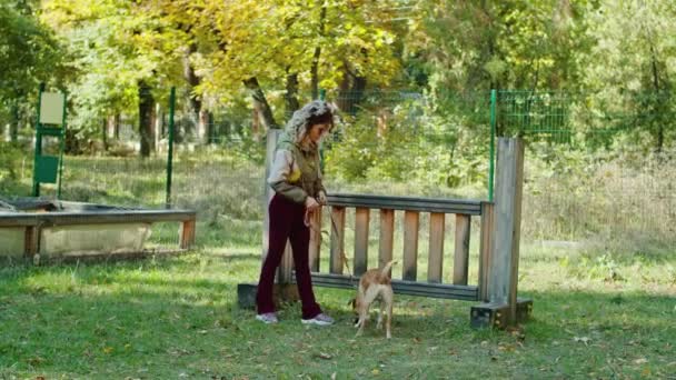 Boldog fiatal nő sétáltatja a kutyát a parkban, és különleges terület a kutyák számára. A kutya fut, szórakozik, parancsokat hallgat, pórázon jár. séta a parkban. — Stock videók