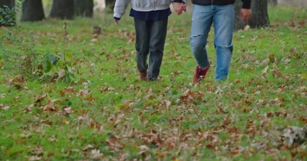 Feliz jovem casal na floresta de outono caminha ao longo dos caminhos. — Vídeo de Stock