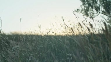 Mutlu evli genç bir çift kutluyor ve güzel sahil günbatımında eğleniyor.