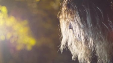 Korkunç kadın kameraya bakar, karanlıktan çıkar..