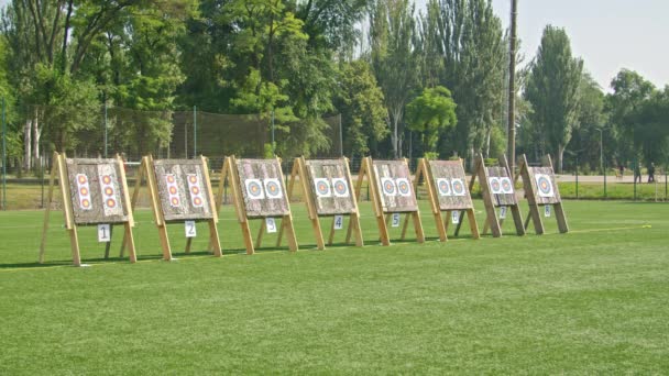 Kryvyi Rih, Ukraine - July 24, 2021, arrows arrive at the target. — Vídeos de Stock