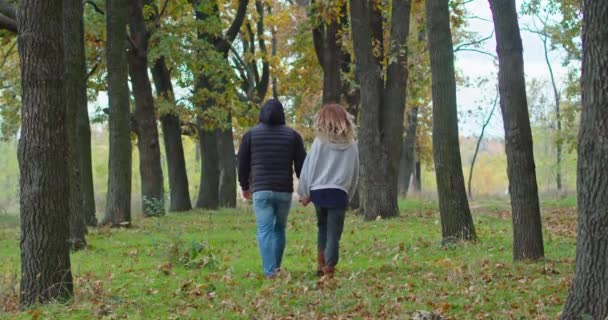 Pasangan muda bahagia di hutan musim gugur berjalan di sepanjang jalan. — Stok Video