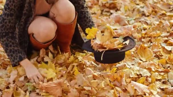 Boldog játékos nő kabátban, kalapban és sálban az őszi parkban — Stock videók