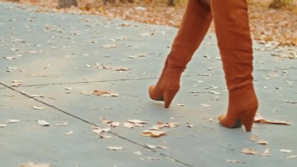 Gambe delle donne che camminano nel parco autunnale — Video Stock