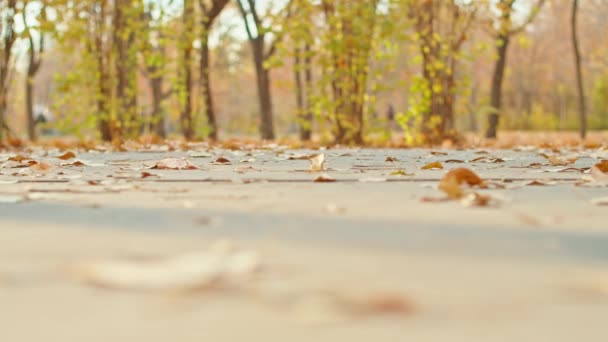 Kadınların bacakları sonbahar parkında yürüyor. — Stok video
