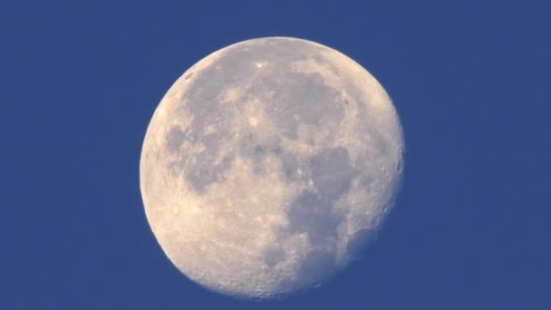 Luna plină pe cerul albastru. Luna — Videoclip de stoc