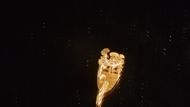 Brinco de ouro de uma sacerdotisa cita de 2000 anos, um velho brinco, roda giratória, encontrado durante as escavações. jóias vintage. religião. close-up — Vídeo de Stock