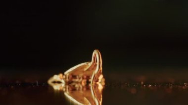 2000 yaşında bir İskitli rahibenin altın küpesi, kazı sırasında bulunan eski bir küpe, dönen bir tekerlek. Klasik mücevherler. Din. yakın plan