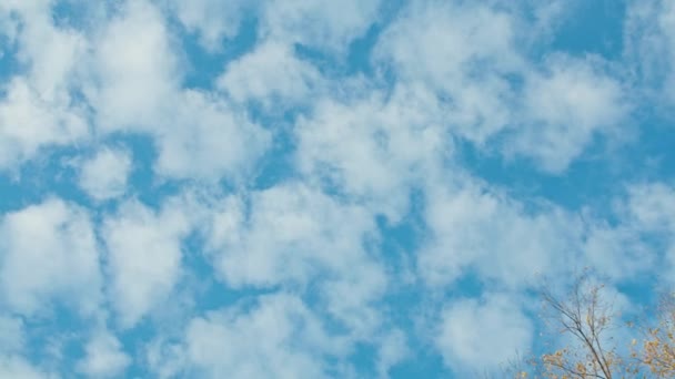 Cielo azul nublado, nubes, otoño. — Vídeo de stock
