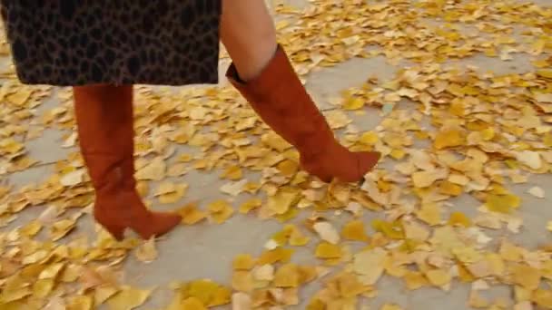 Mujeres piernas caminando en otoño parque — Vídeo de stock