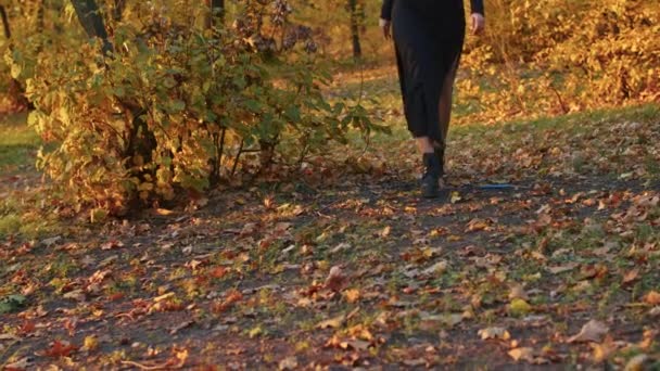 Uma jovem mulher com maquiagem Santa Muerte vestida com um vestido preto da morte caminha contra o pano de fundo das folhas de outono na floresta durante o pôr do sol. Conceito Dia dos Mortos ou Halloween. — Vídeo de Stock