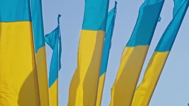 Прапор України, шовковий прапор, що махає на тлі синього неба на великому флагштоку.. — стокове відео