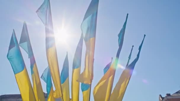 Прапор України, шовковий прапор, що махає на тлі синього неба на великому флагштоку.. — стокове відео