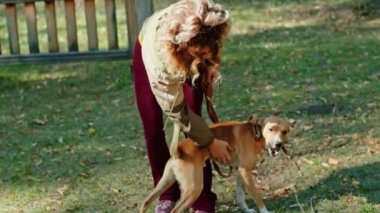 Parkta köpeği gezdiren mutlu genç bir kadın ve köpekler için özel bir alan. Köpek koşuyor, eğleniyor, emirlere uyuyor, tasmayla yürüyor. Parkta yürür.