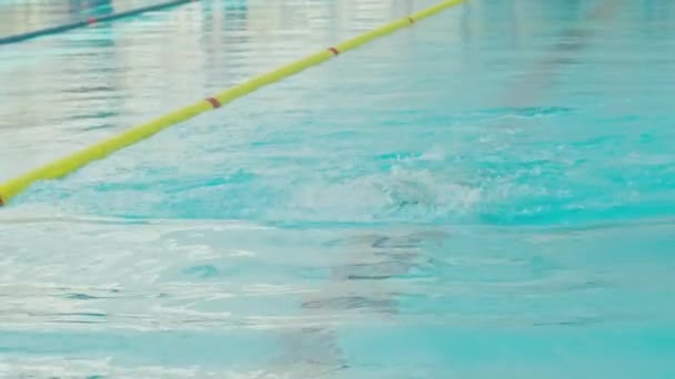 Krivoy Rog, Ukraina - 14.10.2021 En simmare simmar i poolen. simmare tävlar med varandra. — Stockvideo