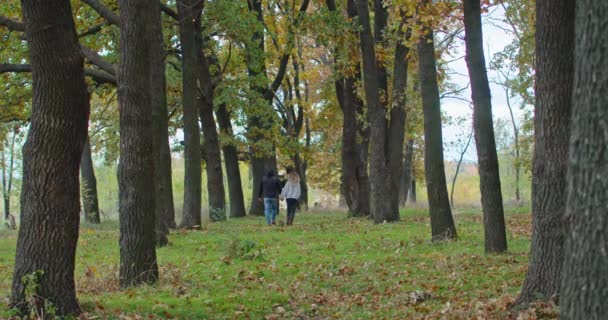 Happy young couple in the autumn forest walks along the paths. — Stockvideo