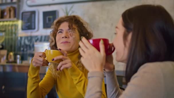 Twee gelukkige vrouwen brengen tijd samen door in een café, restaurant, lichte sfeer, levensstijl. samen koffie drinken. — Stockvideo