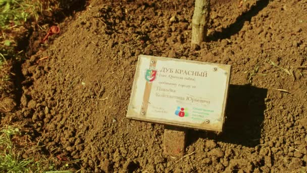 Herfst landschap, prachtige herfst romantische uitzichten in het park. bladeren, steegjes, bomen, tijd voor romantische wandelingen. plaquettes met de namen van de mensen die de boom geplant hebben. — Stockvideo