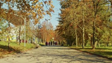 Sonbahar manzarası, muhteşem sonbahar romantik manzarası parkta. Yapraklar, sokaklar, ağaçlar, romantik yürüyüşler zamanı..
