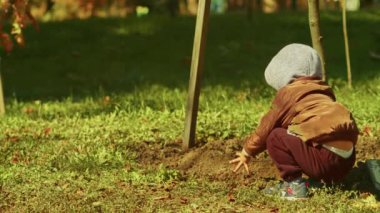 Bir çocuk, bir sonbahar parkında ağaçların yanındaki bir çiçek tarhında dünya ile oynuyor..