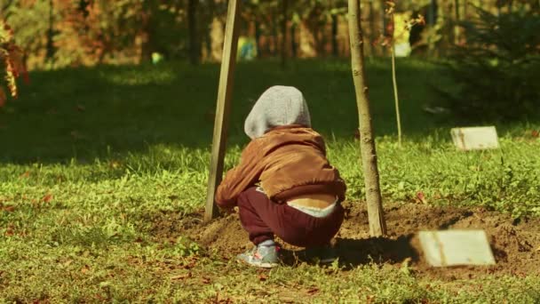 Seorang anak bermain dengan bumi di sebuah taman musim gugur duduk di tempat tidur bunga dekat pohon. — Stok Video