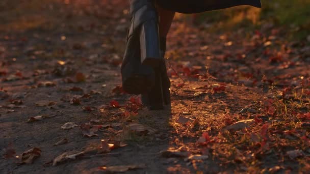 En ung kvinna med Santa Muerte make-up klädd i en svart dödsklänning går mot bakgrund av höstlöv i skogen under solnedgången. Day of the Dead eller Halloween-konceptet. — Stockvideo