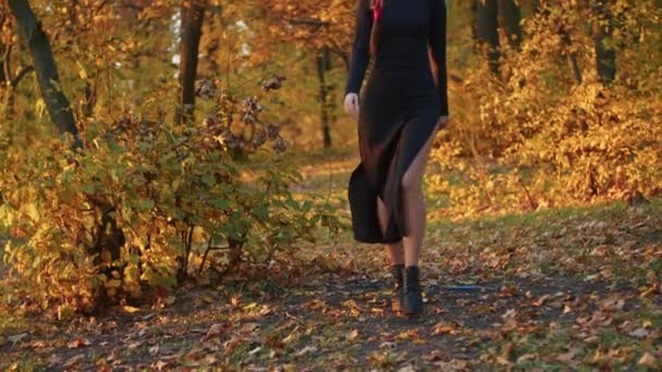 Een jonge vrouw met Santa Muerte make-up gekleed in een zwarte jurk des doods wandelt tegen de achtergrond van herfstbladeren in het bos bij zonsondergang. Dag van de Dood of Halloween concept. — Stockvideo