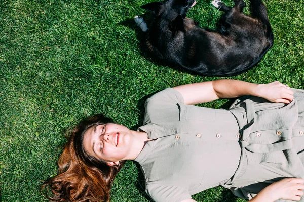 夏の少女が犬と芝生の上で遊ぶと、彼女は舐めて楽しんでいる間にそれを引っかきます。Prores422. — ストック写真