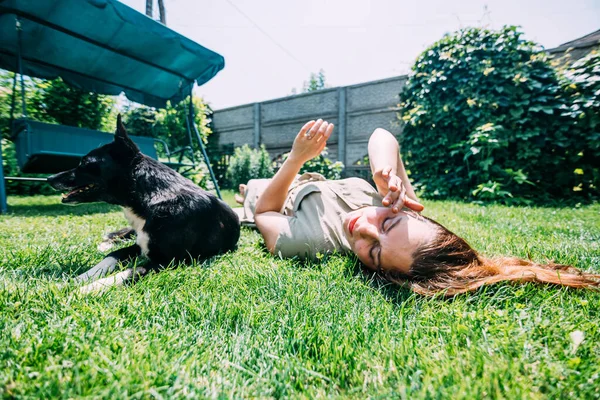 夏の少女が犬と芝生の上で遊ぶと、彼女は舐めて楽しんでいる間にそれを引っかきます。Prores422. — ストック写真