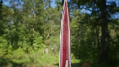 İki savaşçının kanındaki mistik kardeşlik ayini. Rahibe ve şaman infaz sürecini denetliyor..