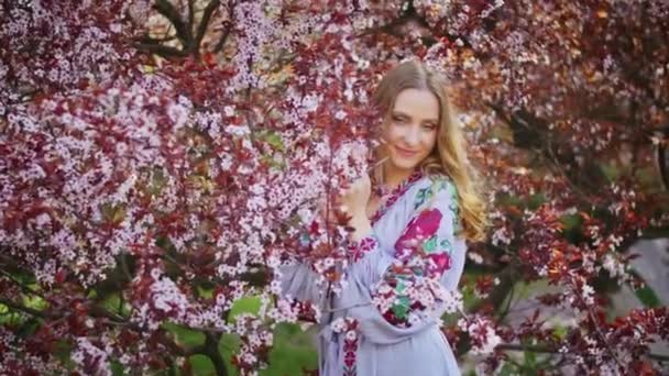 Szczęśliwa kobieta raduje się na tle kwitnących różowych kwiatów sakura. Weekendowy spacer z uśmiechem o zachodzie słońca. kobieta i wiosna. — Wideo stockowe