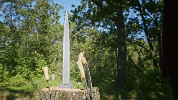 Mystical fraternal rite on the blood of two warriors. the priestess and the shaman supervise the execution process. — Video