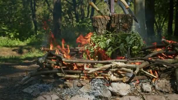 Rite fraternel mystique sur le sang de deux guerriers. la prêtresse et le chaman supervisent le processus d'exécution. — Video