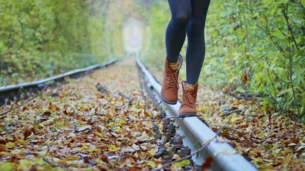 Gelukkige jonge vrouwelijke toerist spinnen in de tunnel van de liefde met herfstbladeren, ademen frisse lucht, haar fladderen in de wind, mensen vrijheid concept. geluk. — Stockvideo