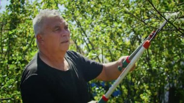 Çiftçi bahçedeki ağaçları keser. Tarım. Toplu çiftlikte tarımcı. İşçi çiftlikte çalışıyor. Tarım konsepti. İş Çiftliği, Bahar