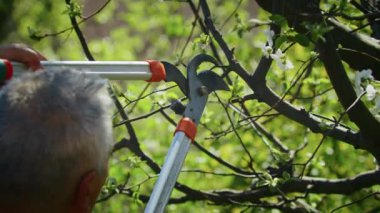 Çiftçi bahçedeki ağaçları keser. Tarım. Toplu çiftlikte tarımcı. İşçi çiftlikte çalışıyor. Tarım konsepti. İş Çiftliği, Bahar