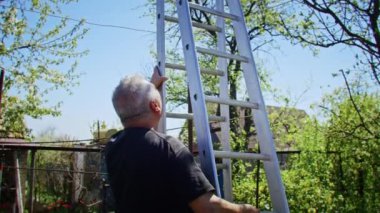 Çiftçi bahçedeki ağaçları keser. Tarım. Toplu çiftlikte tarımcı. İşçi çiftlikte çalışıyor. Tarım konsepti. İş Çiftliği, Bahar