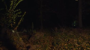 cinematic shot, creepy zombie woman runs out of the dark and attacks. horror. halloween. real evil.