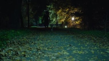 Sinematik çekim, gece parkında köpek ve çekiçle gezen ürkütücü zombi kadın. Korkunç. Cadılar Bayramı. Gerçek şeytan..