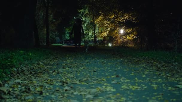 영화찍는 장면, 개와 망치를 든 소름끼치는 좀 비여자가 야간 공원을 걷고 있습니다. 공포. - 할로윈이요. 진정 한 악. — 비디오