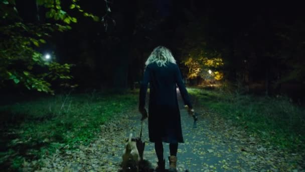 Filmowe ujęcie, przerażające zombie kobieta z psem i młotkiem spacery w parku nocnym. przerażenie. halloween. prawdziwe zło. — Wideo stockowe
